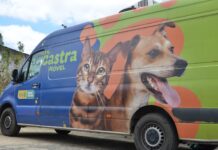 Castramóvel da PMCG inicia atendimento na Ramadinha nesta segunda-feira (19)