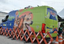 Centro de Zoonoses leva serviço do Castramóvel à Catingueira a partir de segunda-feira