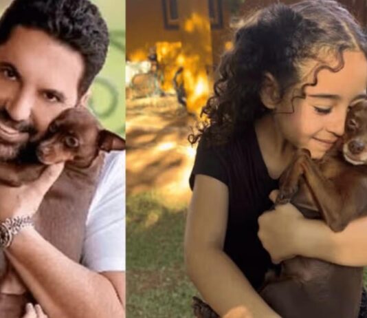 Desaparecido há 1 semana, pinscher do sertanejo Edson é encontrado morto