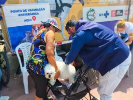Secretaria de Saúde disponibiliza pontos itinerantes para vacinação antirrábica animal em João Pessoa
