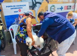 Secretaria de Saúde disponibiliza pontos itinerantes para vacinação antirrábica animal em João Pessoa