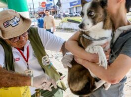 PMJP reforça a importância da vacinação antirrábica para a proteção de cães, gatos e da população
