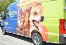 Centro de Zoonoses abre agendamento para castração de animais nesta quarta-feira (27)