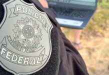 Plantação de 18 mil pés de maconha é identificada pela Polícia Federal, no Cariri paraibano