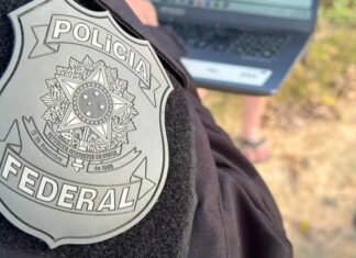 Plantação de 18 mil pés de maconha é identificada pela Polícia Federal, no Cariri paraibano