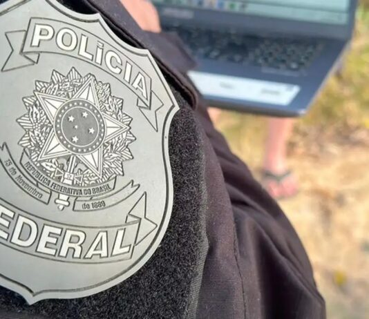 Plantação de 18 mil pés de maconha é identificada pela Polícia Federal, no Cariri paraibano