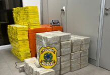 PF e Receita Federal apreendem quase meia tonelada de drogas em João Pessoa