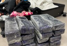 PF prende suspeita de tráfico de drogas no Aeroporto Castro Pinto, em João Pessoa