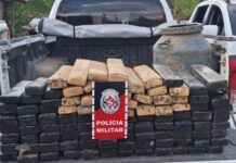 Policia Militar fecha a semana com mais de 300 quilos de drogas apreendidas em Bayeux