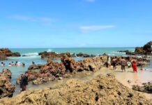 Jovem morre afogado ao entrar no mar para urinar na Paraíba