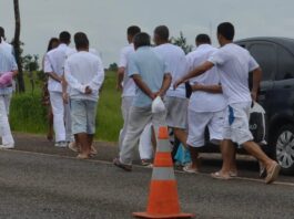 CNJ fará mutirão carcerário para liberar presos por portar até 40g de maconha