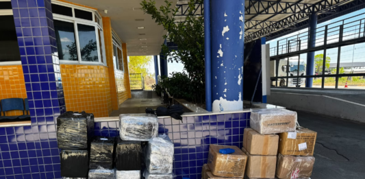 Polícia prende caminhoneiro da Paraíba com mais de meia tonelada de drogas na Bahia