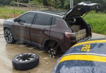 PRF apreende quase 185 kg de maconha, no município de Mamanguape