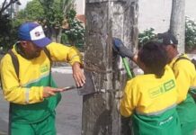 Campina Grande intensifica ações contra publicidade irregular e poluição visual