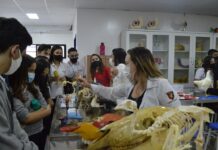 UNINASSAU Campina Grande realiza o Mostra Campus
