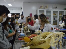 UNINASSAU Campina Grande realiza o Mostra Campus