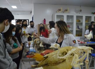 UNINASSAU Campina Grande realiza o Mostra Campus