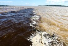 Naufrágio no Amazonas deixa dois mortos e sete pessoas desaparecidas