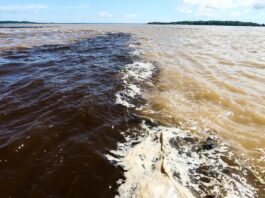 Naufrágio no Amazonas deixa dois mortos e sete pessoas desaparecidas