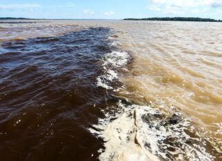 Naufrágio no Amazonas deixa dois mortos e sete pessoas desaparecidas