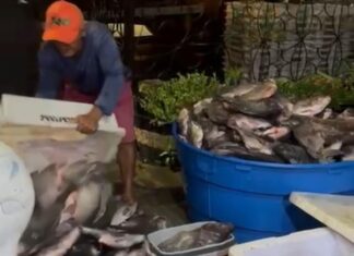 Vereador Rostand Paraíba entrega peixes na Zona Leste de Campina Grande durante a Semana Santa