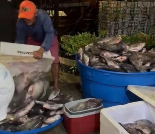 Vereador Rostand Paraíba entrega peixes na Zona Leste de Campina Grande durante a Semana Santa
