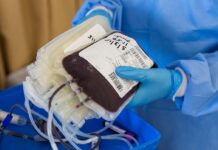 Conheça alguns mitos e verdade sobre doação de sangue