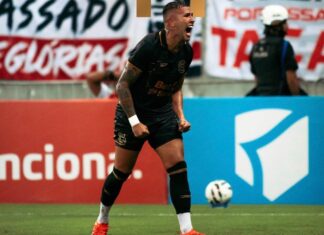 Santa Cruz empata com Maringá e voltará à Série B após 10 anos