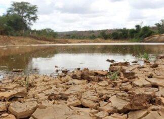 Paraíba tem quase 120 cidades em situação de emergência por causa da estiagem