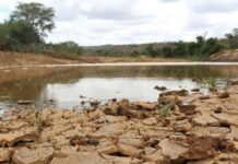 Governo Federal reconhece situação de emergência em municípios da Paraíba por estiagem