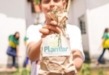 Programa Plantar beneficia 15 mil estudantes e produz 300 quilos de alimentos orgânicos por mês em Campina Grande
