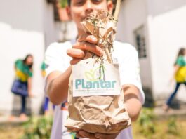 Programa Plantar beneficia 15 mil estudantes e produz 300 quilos de alimentos orgânicos por mês em Campina Grande