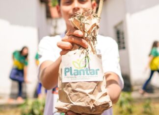 Programa Plantar beneficia 15 mil estudantes e produz 300 quilos de alimentos orgânicos por mês em Campina Grande