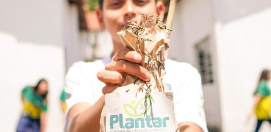 Programa Plantar beneficia 15 mil estudantes e produz 300 quilos de alimentos orgânicos por mês em Campina Grande