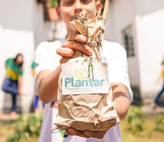 Programa Plantar beneficia 15 mil estudantes e produz 300 quilos de alimentos orgânicos por mês em Campina Grande