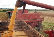 PIB brasileiro avança pelo quinto ano seguido e cresce 2,3% em 2025, mostra IBGE