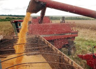 PIB brasileiro avança pelo quinto ano seguido e cresce 2,3% em 2025, mostra IBGE