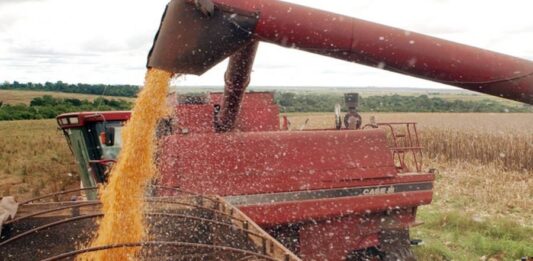 PIB brasileiro avança pelo quinto ano seguido e cresce 2,3% em 2025, mostra IBGE