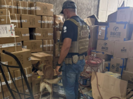 Polícia apreende mais de 300 mil reais em drogas em galpão, em Santa Rita