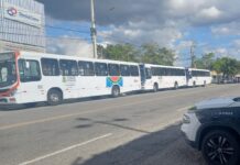 STTP reforça frota de transporte coletivo para o clássico Treze x Botafogo