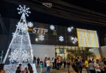 Em show de luzes e encantamento, STTP inaugura iluminação natalina