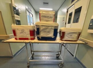 Central de Transplantes registra 6ª doação de múltiplos órgãos de 2026