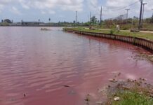 Prefeitura de João Pessoa notifica Cagepa e Sudema por poluição na área do Parque das Três Lagoas