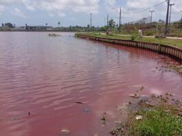 Prefeitura de João Pessoa notifica Cagepa e Sudema por poluição na área do Parque das Três Lagoas