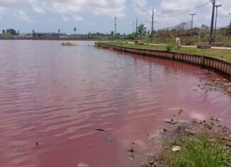 Prefeitura de João Pessoa notifica Cagepa e Sudema por poluição na área do Parque das Três Lagoas
