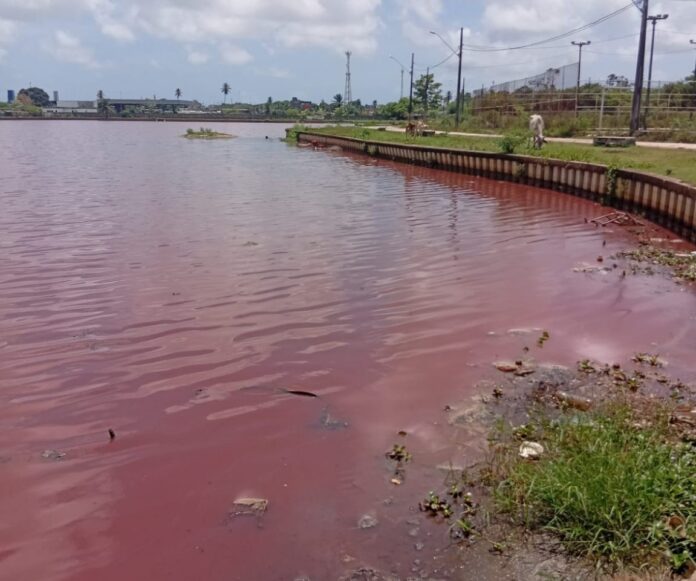 tresjpWhatsApp-Image-2026-01-29-at-11.54.16-1152x1536