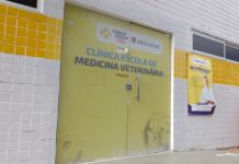 UNINASSAU amplia horário de funcionamento da Clínica-Escola de Medicina Veterinária