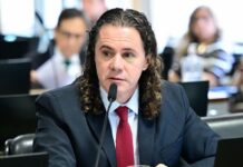 Comissão aprova Relatório de Veneziano que define guarda compartilhada de pets em casos de separação de casais