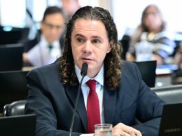 Comissão aprova Relatório de Veneziano que define guarda compartilhada de pets em casos de separação de casais