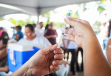 Ministério da Saúde começa distribuição das vacinas contra a gripe
